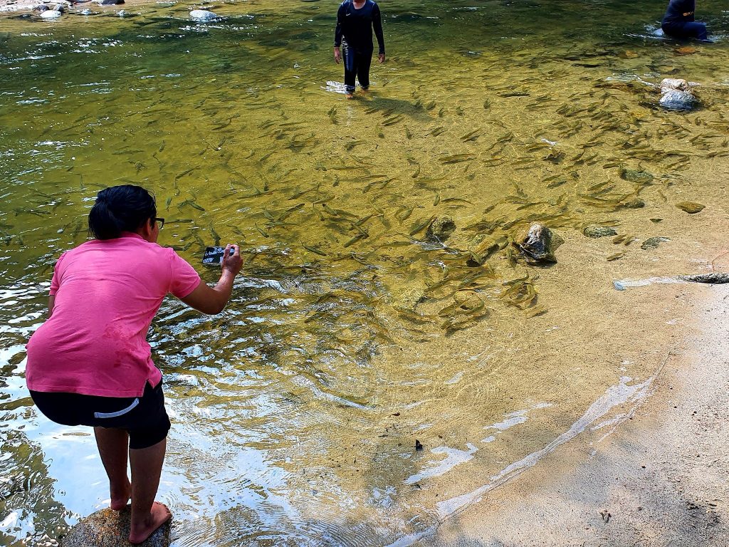 5 Air Terjun Yang Menarik Di Malaysia Cuti Viral