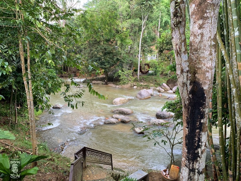 Rumah Hutan Bonda Rozita Terapi Alam Yang Mendamaikan Cuti Viral