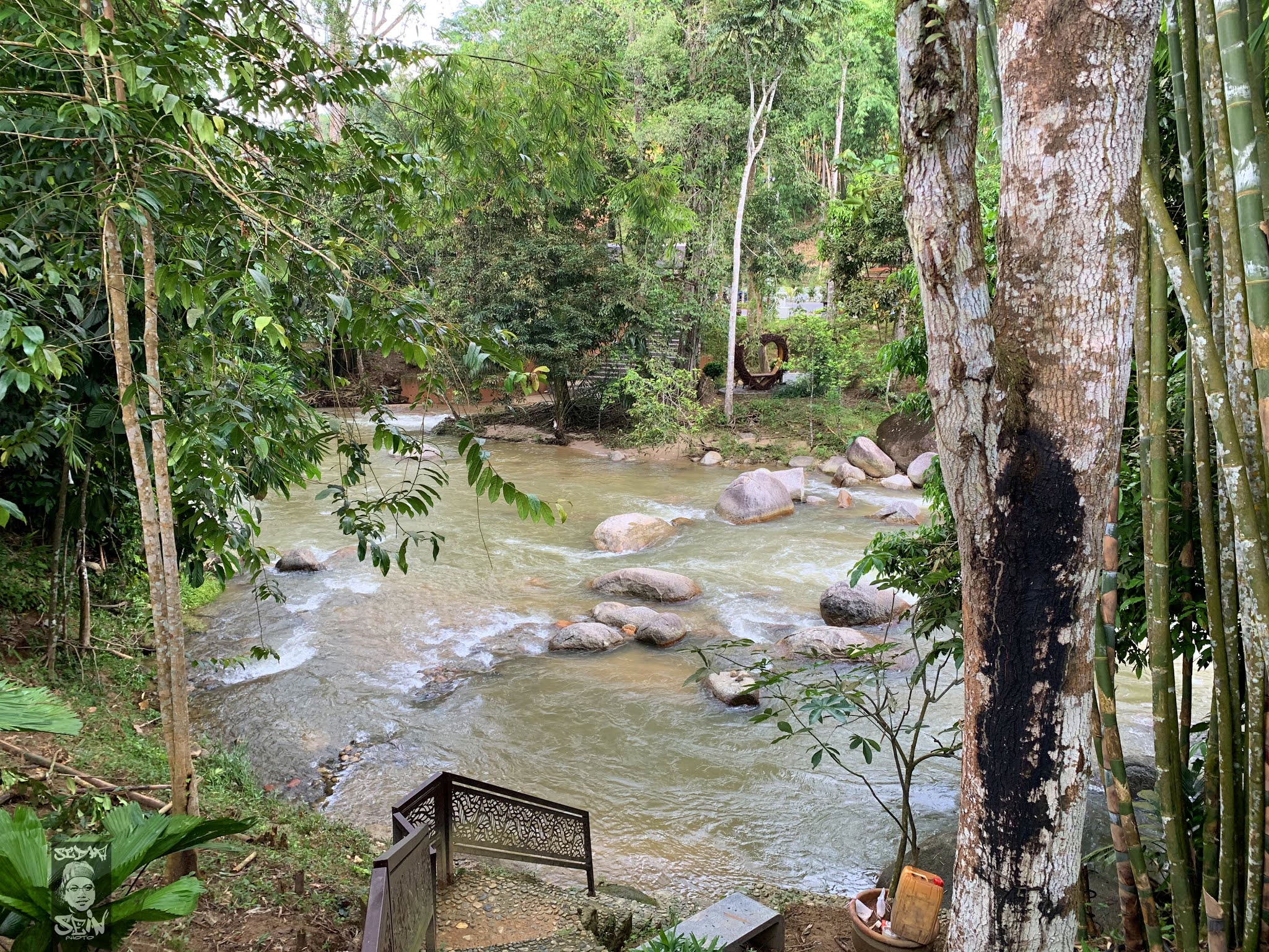 Rumah Hutan Bonda Rozita - Terapi Alam Yang Mendamaikan - Cuti Viral